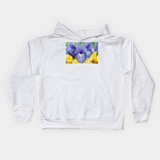 Iris histrioides  'Lady Beatrix Stanley' Kids Hoodie